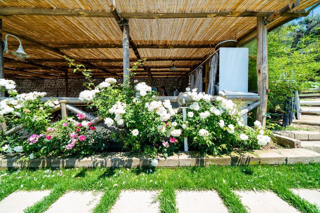 Villa Lorelei Massa Lubrense Luaran gambar