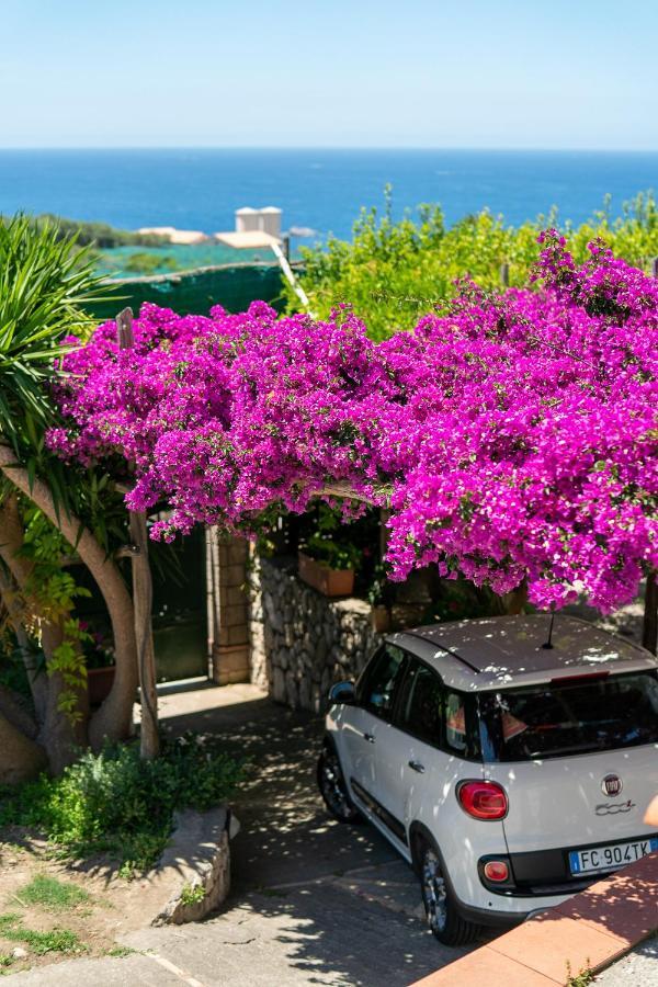 Villa Lorelei Massa Lubrense Luaran gambar
