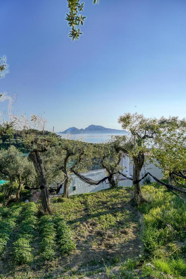 Villa Lorelei Massa Lubrense Luaran gambar